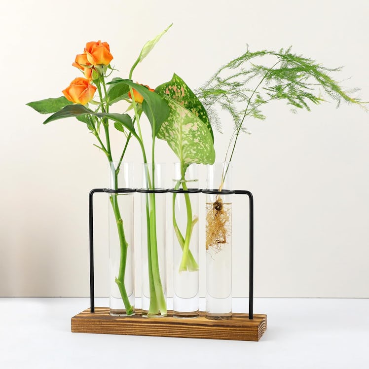 Peachaut Plant Propagation Station