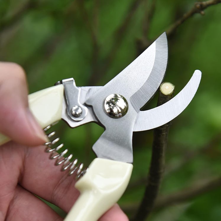 SoftSense Garden Scissors