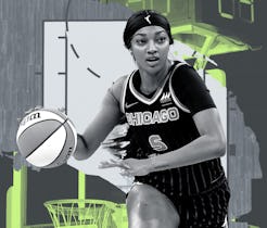 9 predictions for the 2025 WNBA season, from superfans and experts.