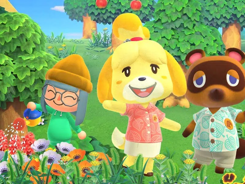 Animal Crossing: New Horizons