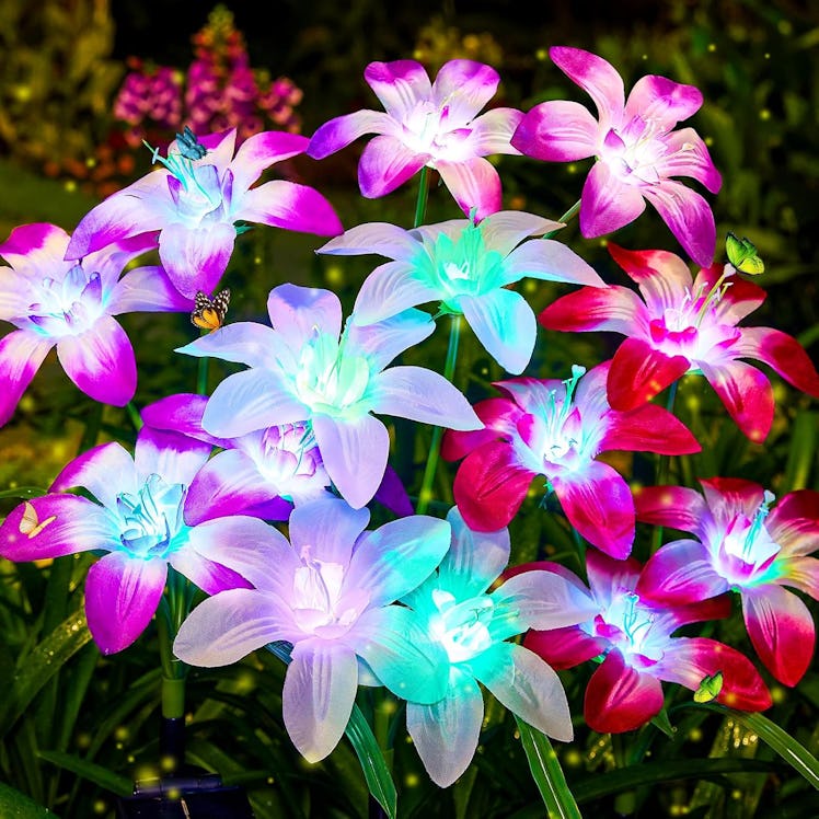 Ahaorigin Solar Garden Lights (4-Pack)