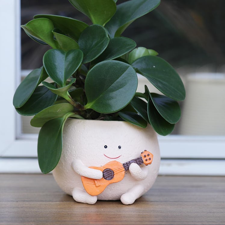 UMESONG Smiley Face Planter Pot with Drainage Hole