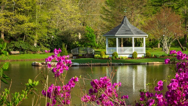 Gazebo near the edge of a pond with azaleas blooming in the foreground, located in Blowing Rock, Nor...