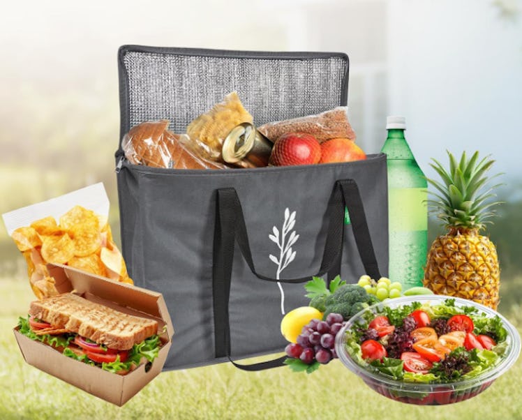 Green Bulldog Foldable Reusable Insulated Grocery Bags (2-Pack)