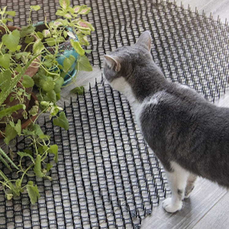 Homarden Cat Scat Anti-Dig Mat (10-Pieces)