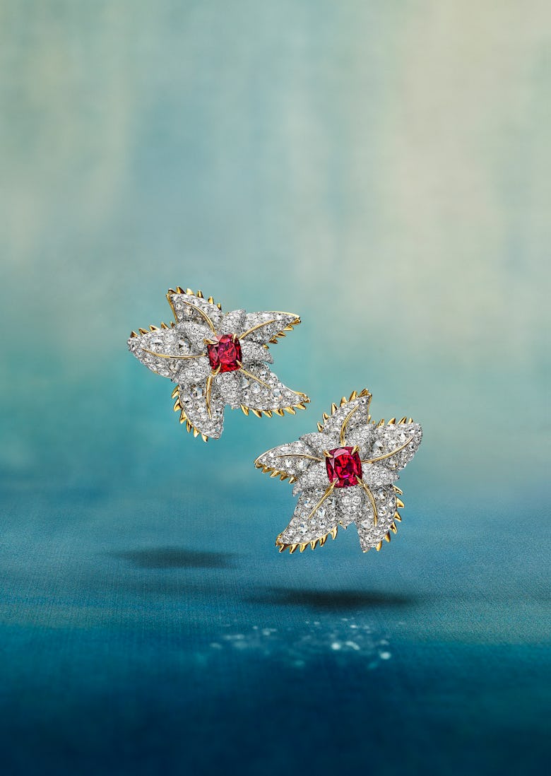 Tiffany ve Co. mavi kitap 2025 harikalar denizi