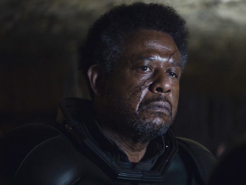 Forest Whitaker as Saw Gerrera in Andor