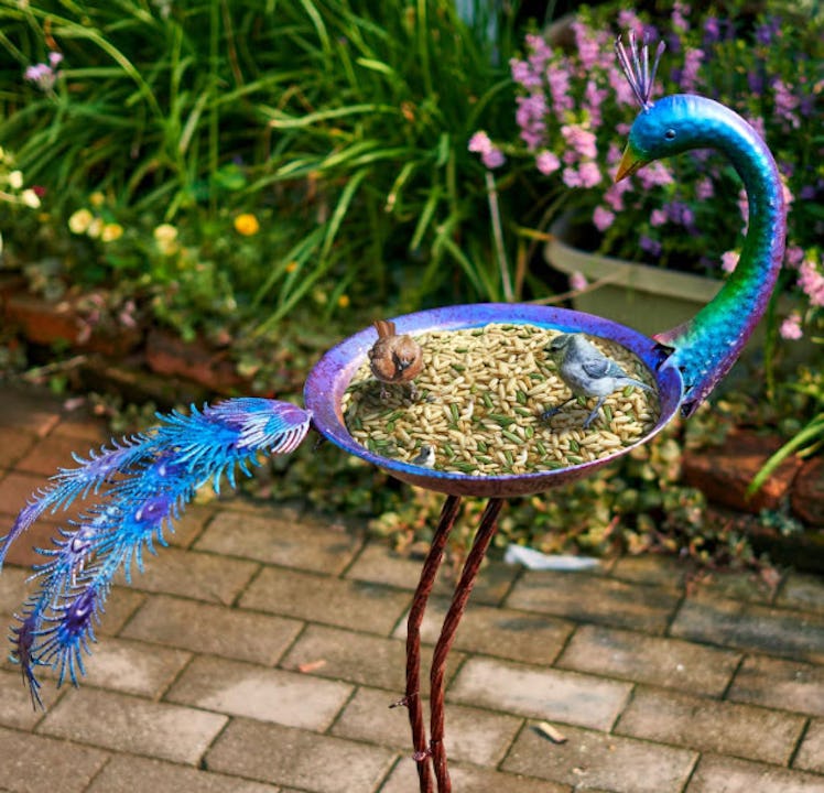 HLQMFHT Peacock Bird Bath/Feeder Tray