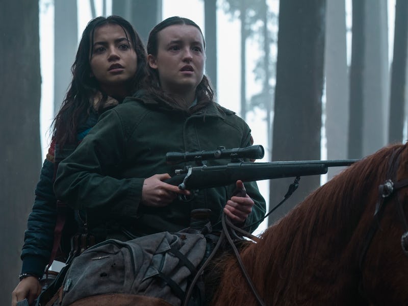 Two young women are positioned on a brown horse in a misty forest. One is sitting in front, holding ...
