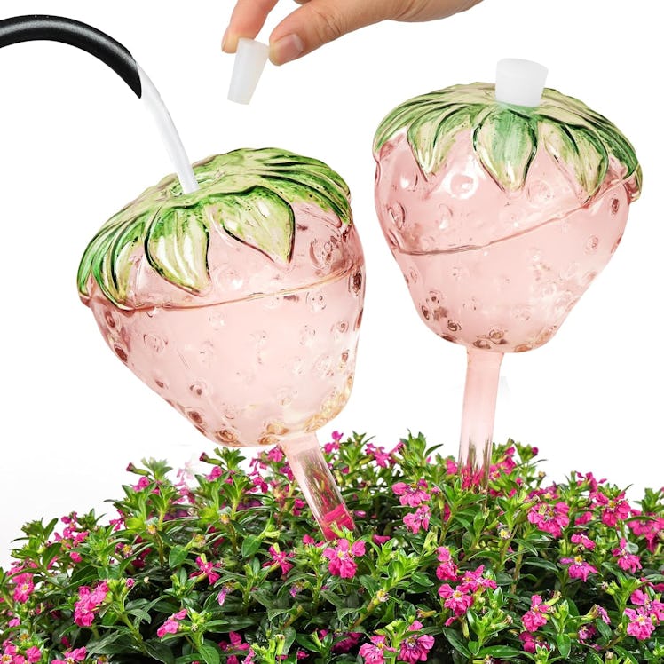 Yurucenus Plant-Watering Globes (2-Pack)