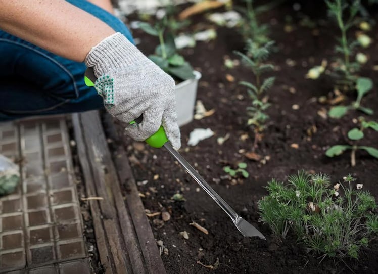 Garden Guru Dandelion Weeder Tool 