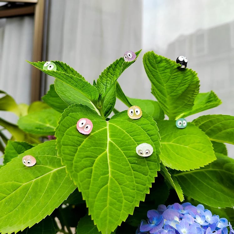 Rainteam Plant Magnets (8 Pieces)