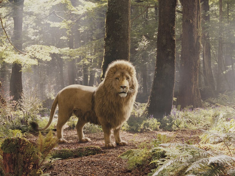 Aslan the Great (voiced by Liam Neeson) in The Chronicles of Narnia: Prince Caspian