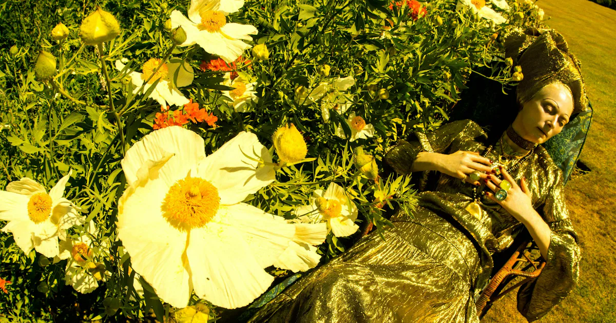 The 9 Best Supplements, Tonics, and Oils to Boost Immune Health The 9 Best Supplements, Tonics, and Oils to Boost Immune Health