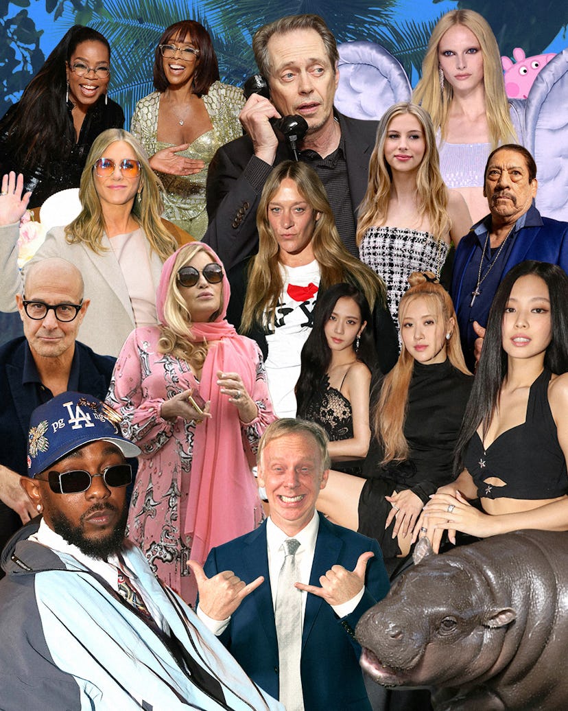 A collage of stars, models, musicians, talk show hosts and the like that W want to see cast in the n...