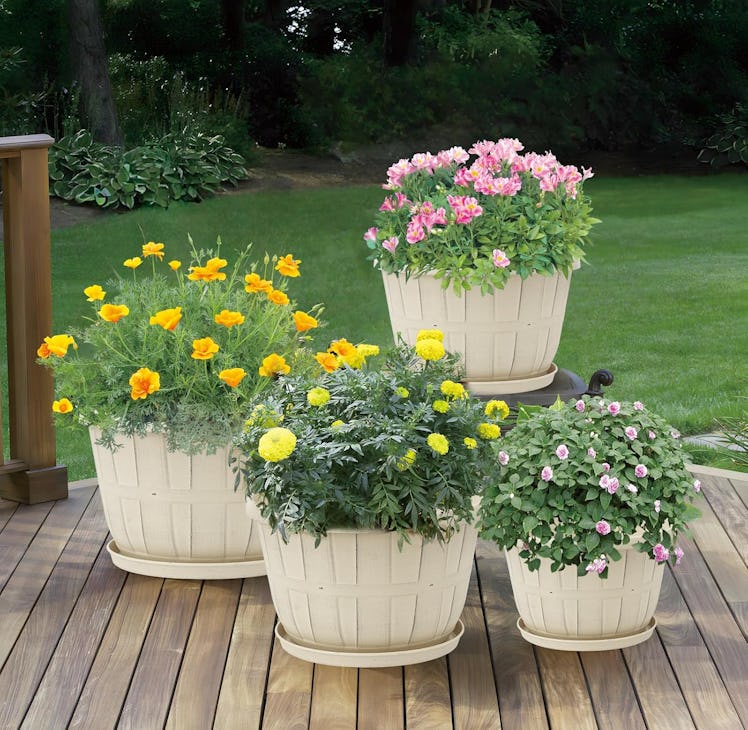 Quarut Plastic Flower Pots (4-Pack)