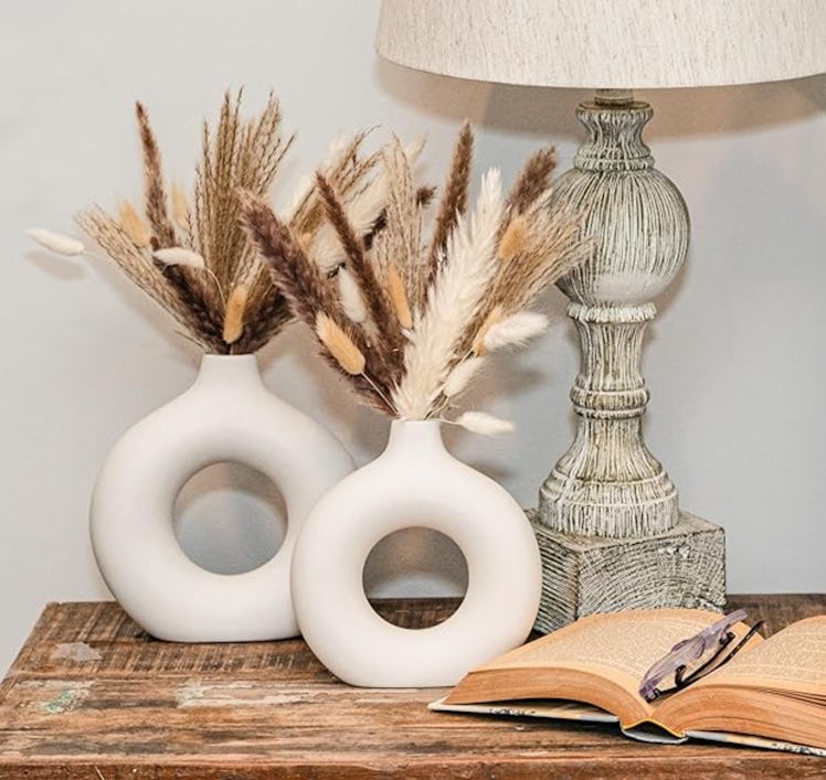 VELOVA Ceramic Vases & Dried Pampas Grass Set (65-Pieces)