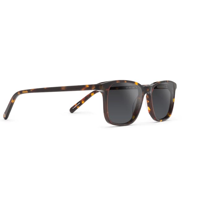 Orion Sunglasses