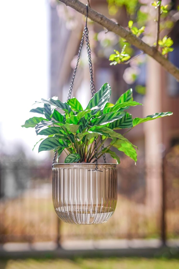Melphoe Self Watering Hanging Planters (2-Pack)