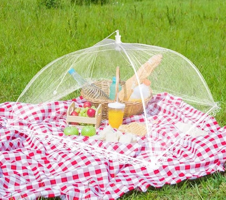 Rindion Mesh Food Covers (4-Pack)
