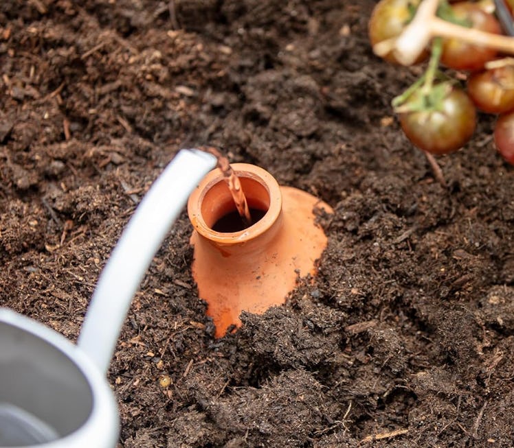 Back to the Roots Self-Watering Terracotta Olla Pot