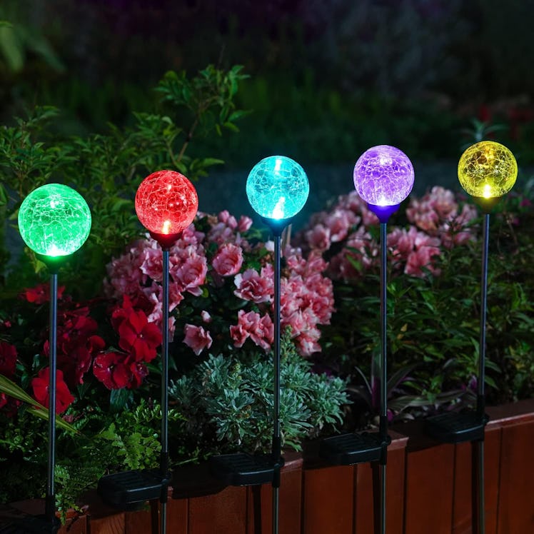 OxyLED Solar Outdoor Lights (6-Pack)