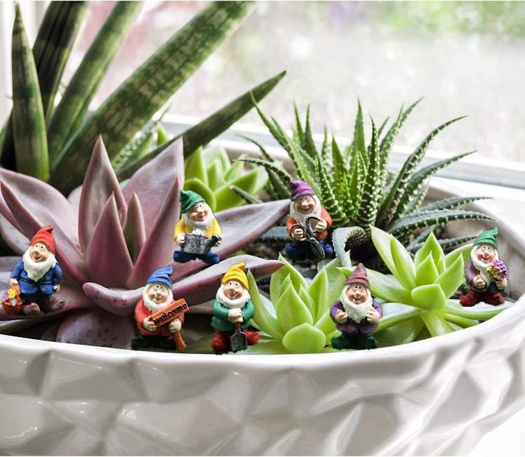 HONEYSHOW Plant Elves (Set of 7)
