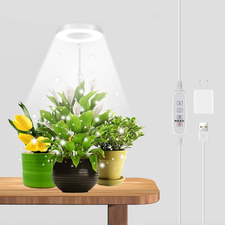 GYTF Halo Plant Grow Light