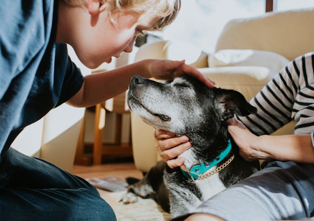A boy leans towards a black and white dog, gently petting its head. A second child sits nearby, also...