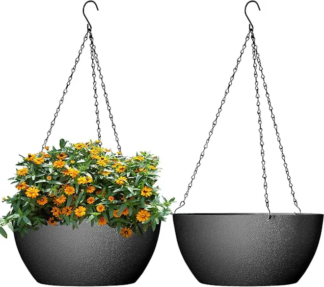 10 inch Hanging Planters