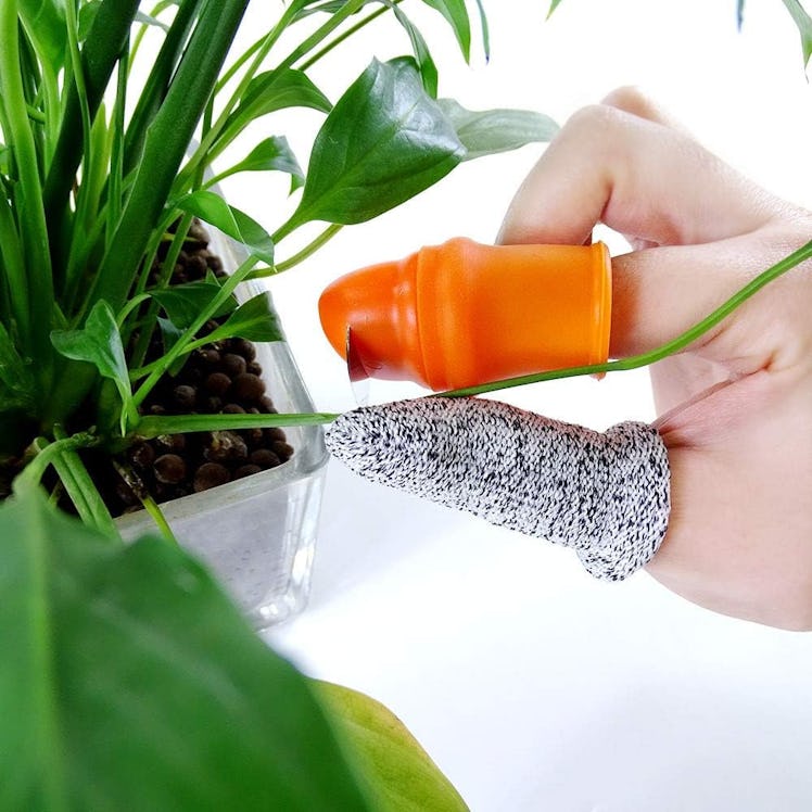 YBB Silicone Thumb Harvesting Tool (12 Pieces)