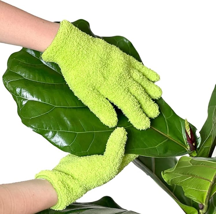BLESS YOUR SOIL Dusting Gloves 