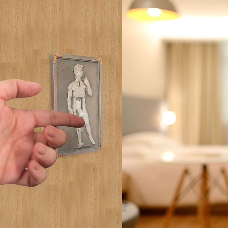 BELLA HAUS DESIGN Michelangelo's David Light Switch Cover