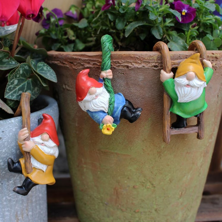 Honiweer Climbing Gnomes (3-Pieces)