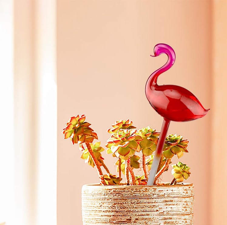 Adabocute Plant Watering Globes (2-Pack)
