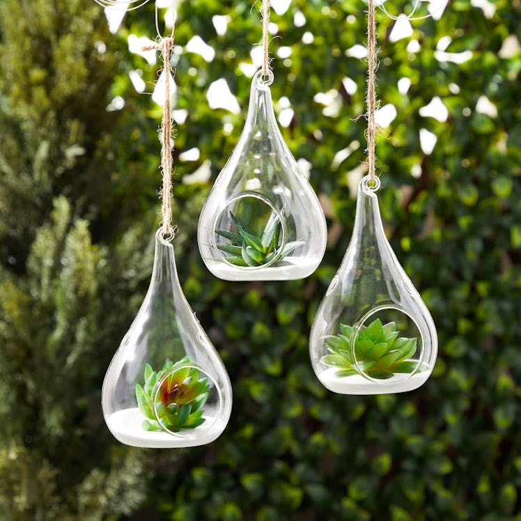 Juvale Hanging Glass Terrarium Containers (5-Pack) 