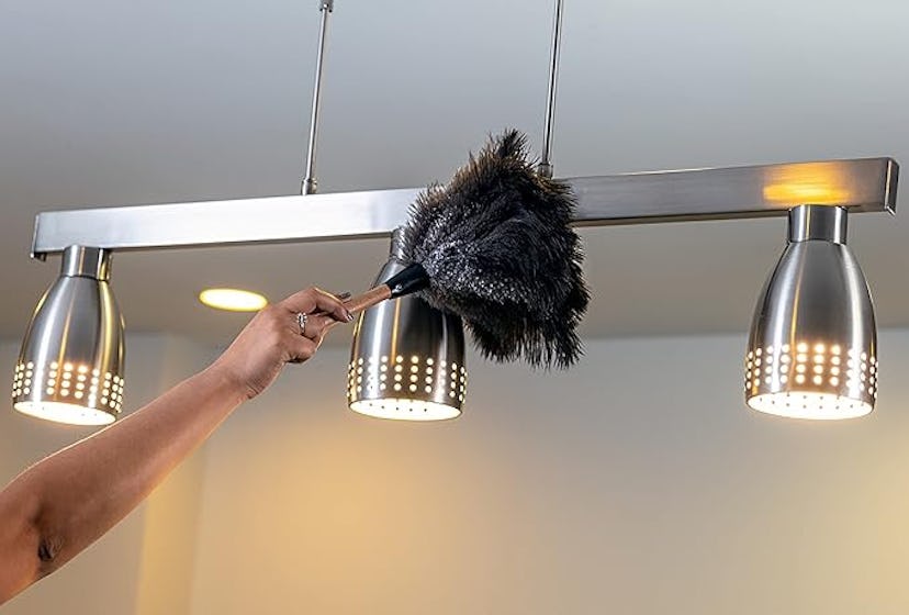 Royal Duster Genuine Ostrich Feather Duster