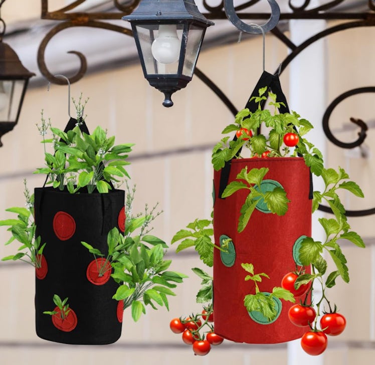 Window Garden Hanging Strawberry Planter (4-Pack)
