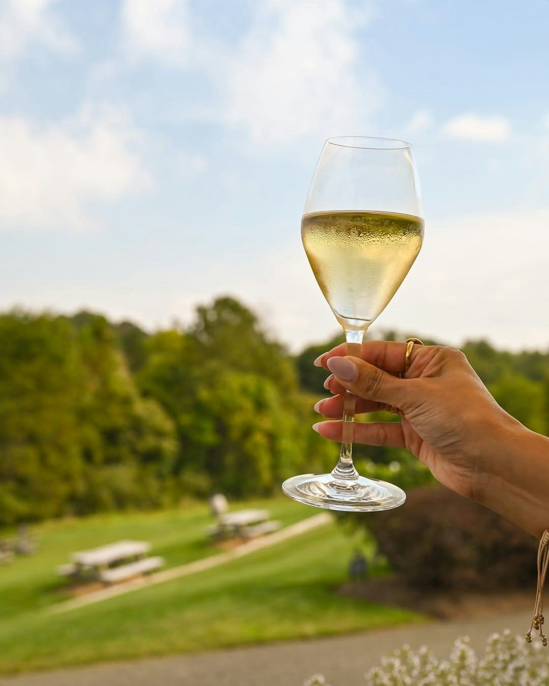 virginia wine country 