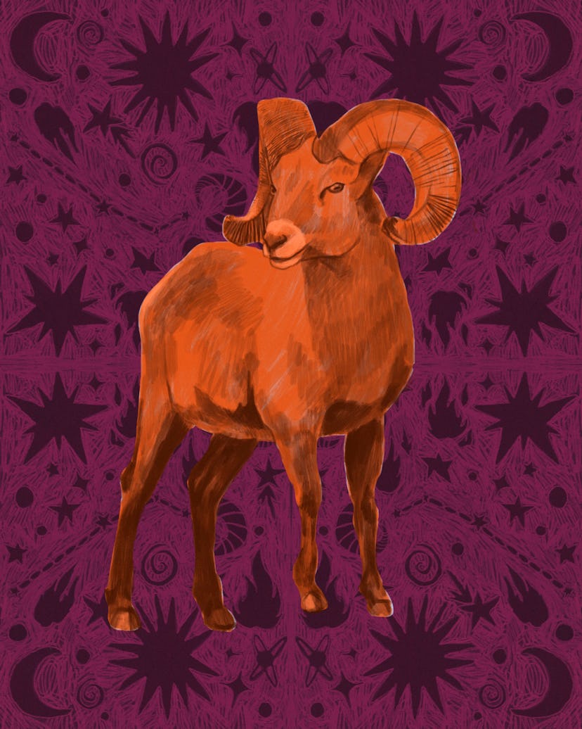 the aries ram