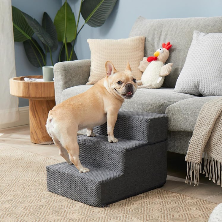 EHEYCIGA  Dog Stairs