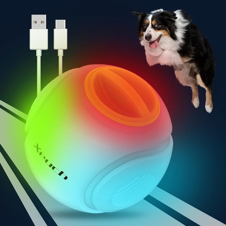  Xeuch Light-Up Dog Ball