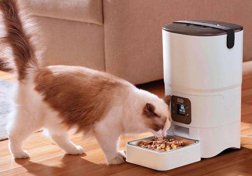Pitpet Smart Automatic Cat Feeder