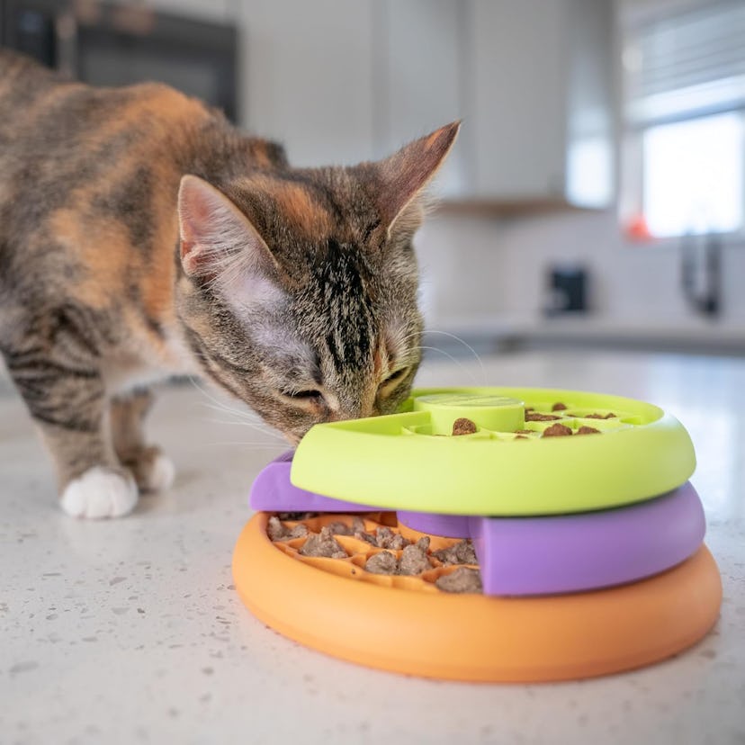 Catstages Multilayered Cat Fun Feeder