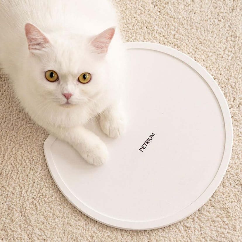 PETRIUM Stone Dry Mat For Pets