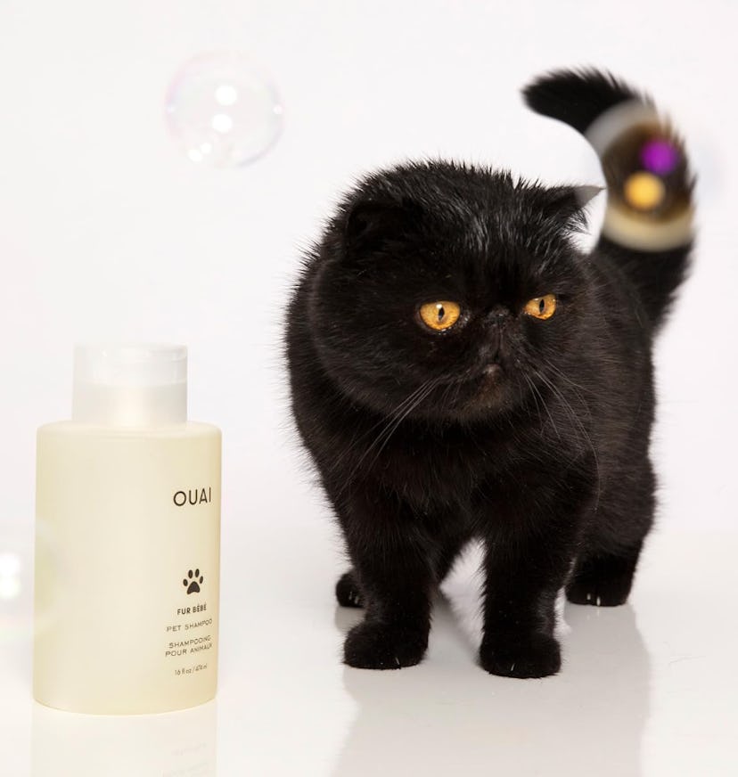 OUAI Fur Bébé Pet Shampoo