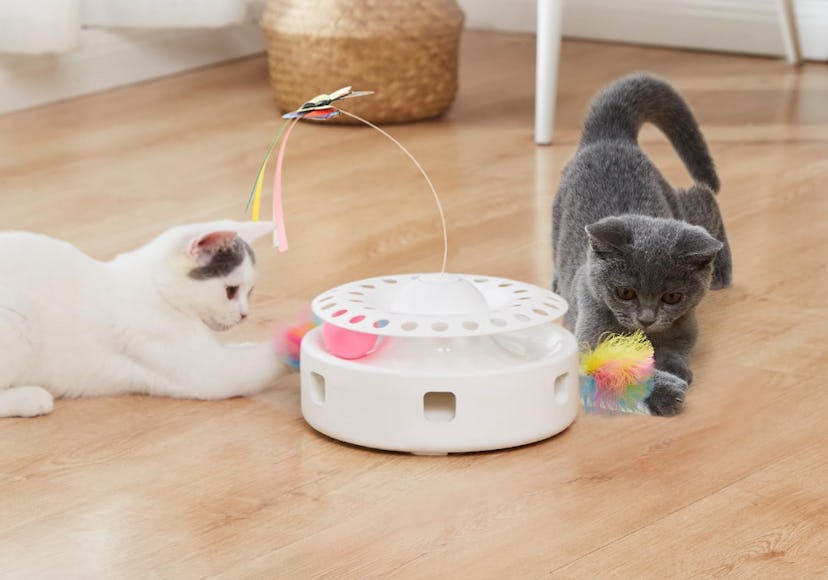 Potaroma 3-in-1 Automatic Interactive Cat Toy