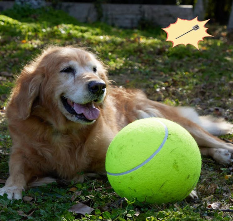 TYLIN Giant 9.5" Dog Tennis Ball