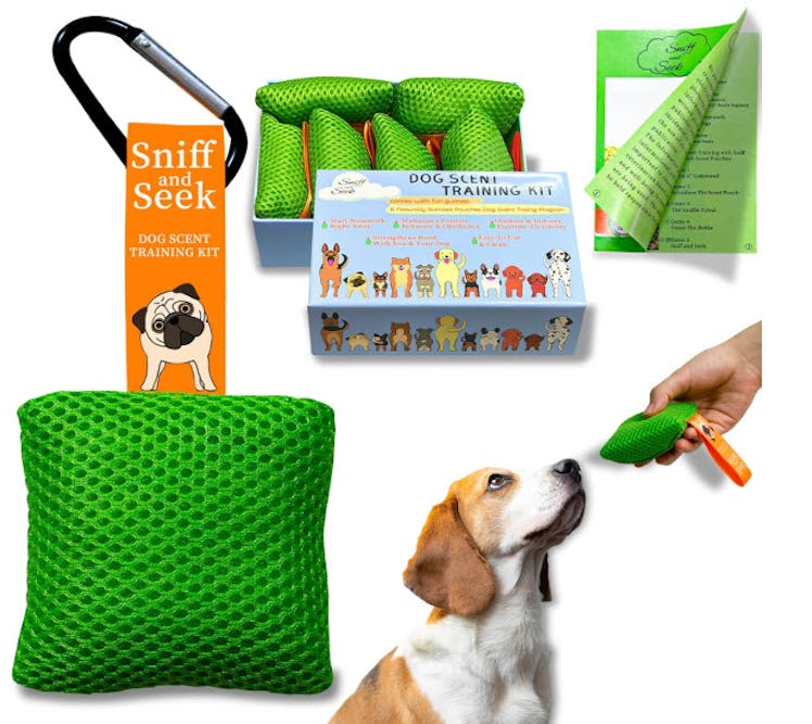 BabieDtOyG Dog Scent Game