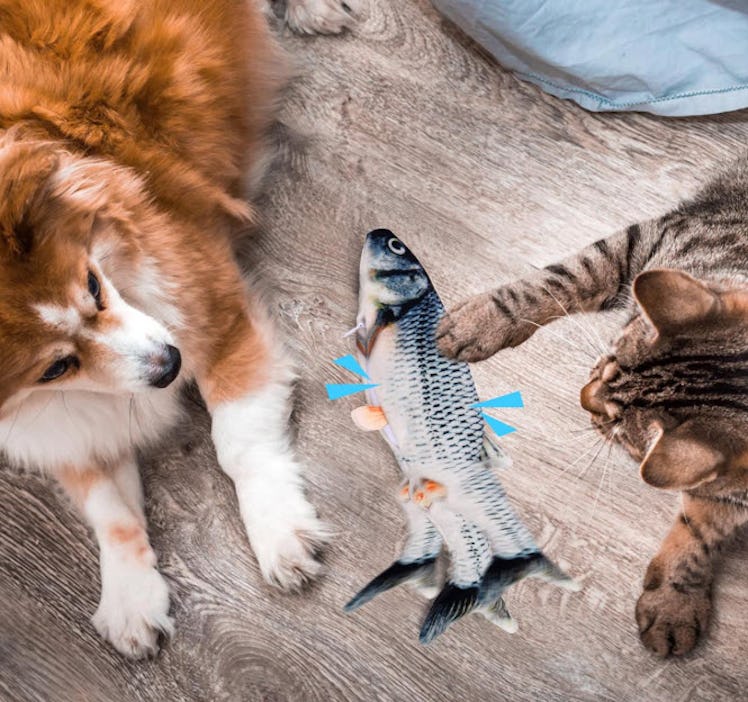 BABORUI Interactive Dog Toy